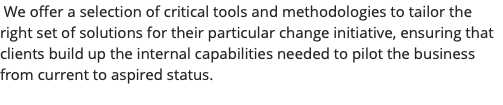 &nbsp;We offer a selection of critical tools and methodologies to tailor the right set of solutions for their particular change initiative, ensuring that clients build up the internal capabilities needed to pilot the business from current to aspired status. 